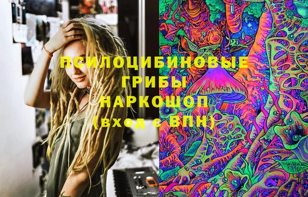 шишки Чегем