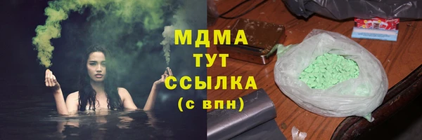 шишки Чегем