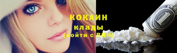 шишки Чегем