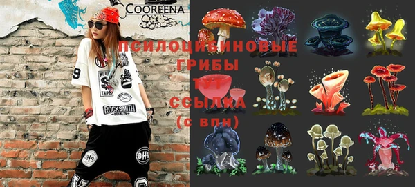 прущий лед Шали