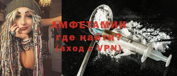 шишки Чегем