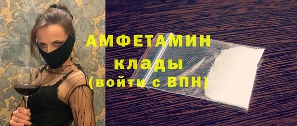 шишки Чегем