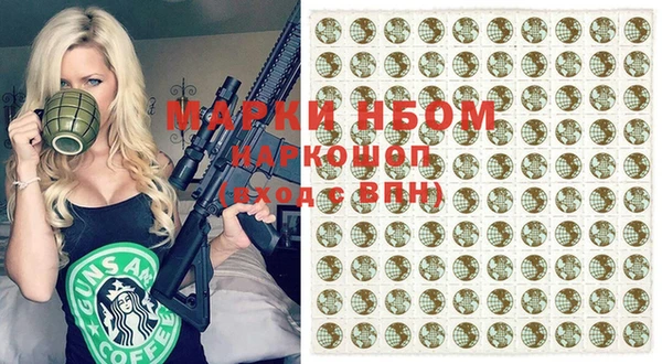 шишки Чегем