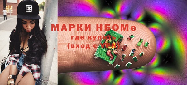 шишки Чегем