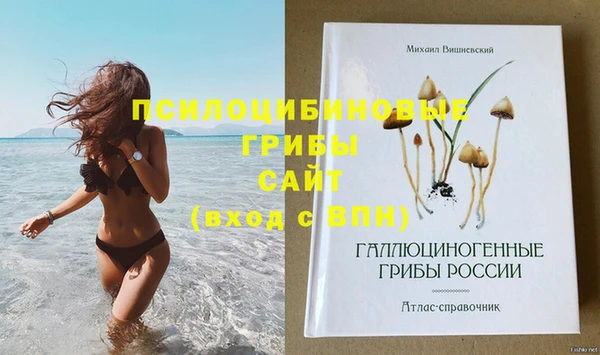 шишки Чегем