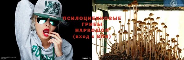 ALPHA-PVP Чердынь
