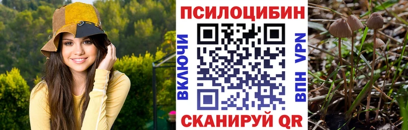 Псилоцибиновые грибы ЛСД Александровское